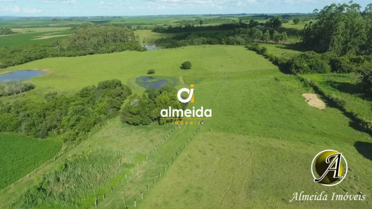 Imagem Chácara com 6,2 ha