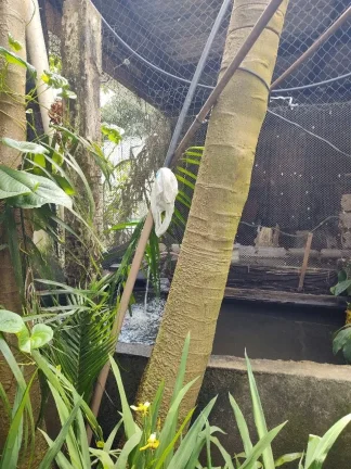 Imagem Casa em Centro de Vila Velha - Vila Velha