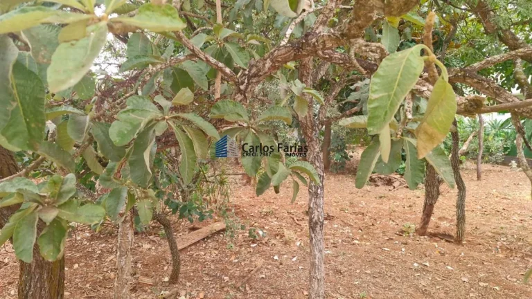 Imagem Lote em Condomínio Fechado para Venda em Brasília, PARANOA