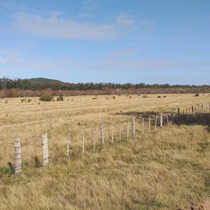 Fazenda à Venda – 385 Hectares – Beira do Asfalto – Viamão/RS