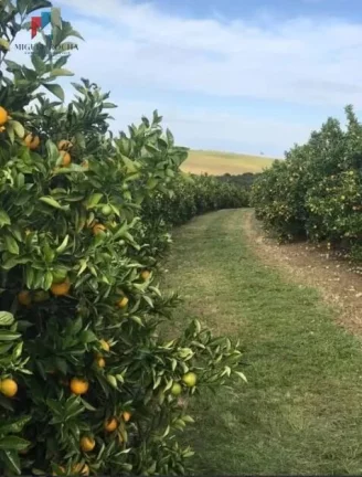 Imagem Fazenda Região de Marilia SP