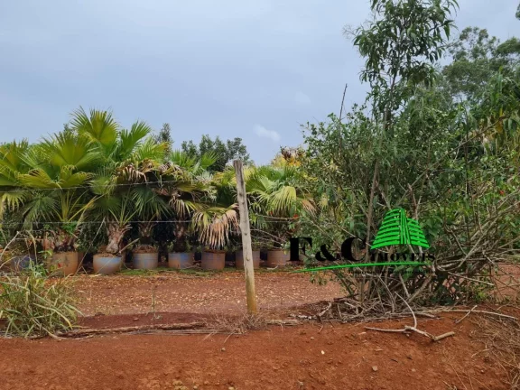 Imagem Área para Venda em Limeira, BAIRRO PARRONCHI