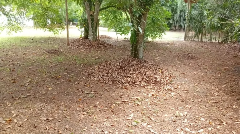 Imagem Terreno Pé na Areia no Ubatumirim! 300 metros em Condomínio Fechado!!