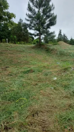 Imagem Terreno à venda, 567 m² por R$ 265.000,00 - Ipelândia - Suzano/SP