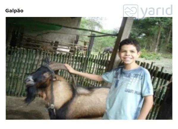 Imagem Imperdível sítio à venda em Juquiá/SP, Zona Rural: 2 quartos, 1 sala, 1 banheiro, 173.000,00 m² de área!