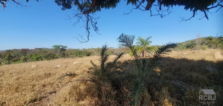 Imagem TERRENO RURAL em ESMERALDAS - MG, CAMPO ALEGRE