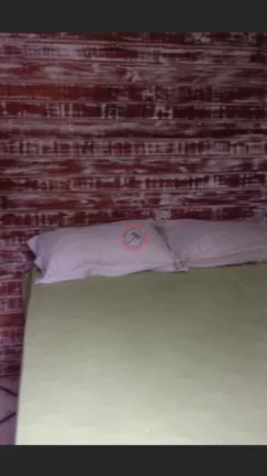 Imagem CASA INDEPENDENTE PARA LOCAÇÃO ANUAL EM CAMBURIZINHO, COM 3 DORMITÓRIOS , 2 BANHEIROS, QUINTAL E AREA GOURMET