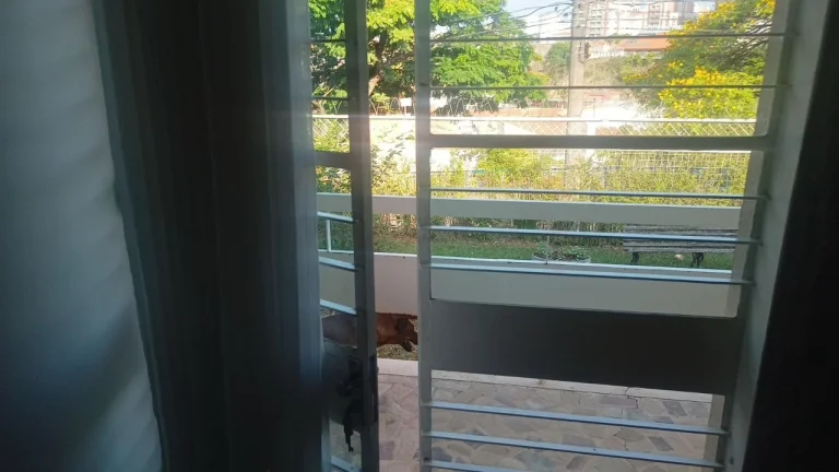 Imagem Casa Comercial de Alto Padrão na Vila Trujillo Sorocaba-SP 4 Quartos, 3 Salas, 4 Vagas de Garagem 559,00 m²