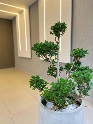Imagem CASA COM 54.85 m² - MARACANÃ - PRAIA GRANDE SP