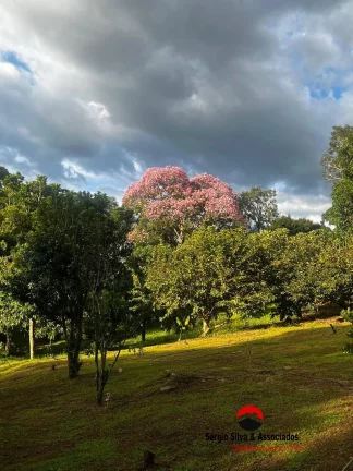 Imagem Sítio a Venda Localizado em São Bento-SP.