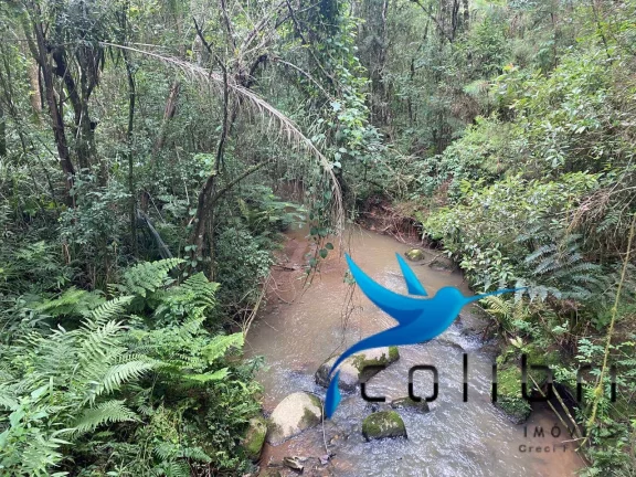 Imagem Chácara à Venda, 20.637 m² em Lagoa Dos Pretos - Agudos Do Sul