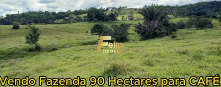 Fazenda para CAFÉ à Venda em Eunápolis Bahia 90 hectares.