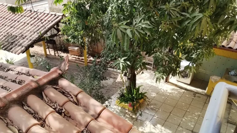 Imagem EXCELENTE CHÁCARA NO FRANCELINOS, EM JUATUBA!