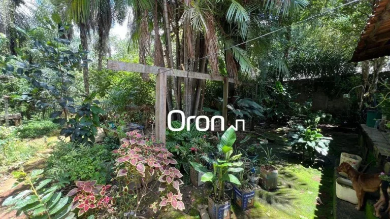 Imagem Chácara à venda, 2820 m² por R$ 999.000,00 - Jardim Veneza - Aparecida de Goiânia/GO