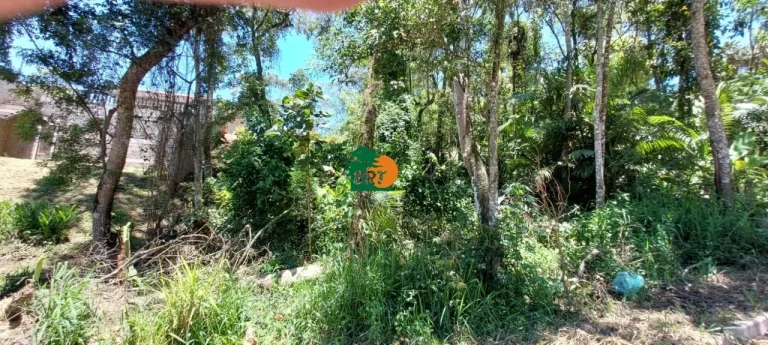 Imagem Terreno para Venda em São Roque, Taipas De Pedras (mailasqui)