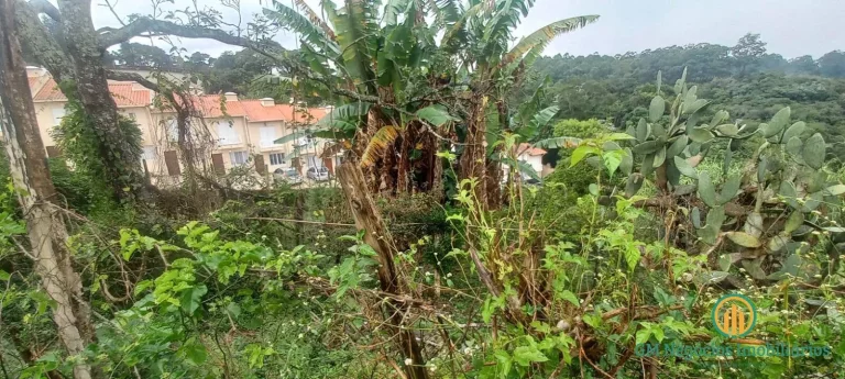 Imagem Área a venda 3600m2 para residencial, comercial ou industrial ótima localiz