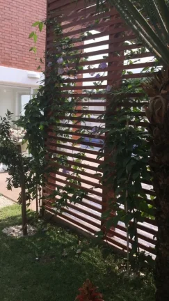 Imagem Ótima casa no Pacaembu