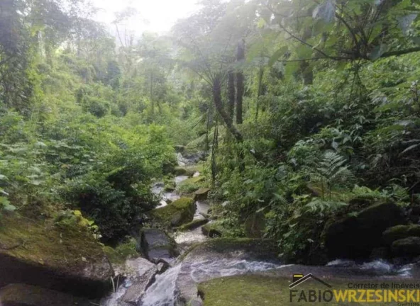 Imagem Vendo área rural em Taio sc