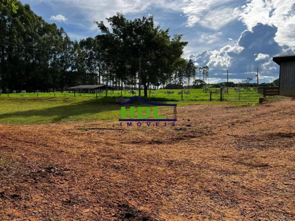 Imagem Fazenda Top de 165 Alqs em Padre Bernardo GO