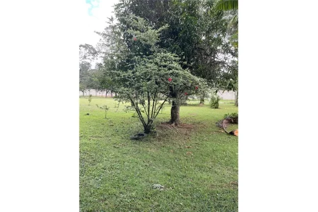 Imagem CCDZ 28 Lote 630331044-7