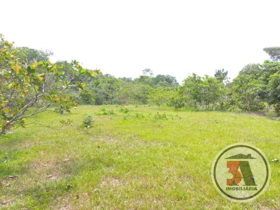 Imagem Chácara 2 hectares 25km de Porto Velho