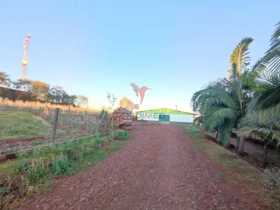 Imagem Aviário em São Miguel do Iguaçu - Centro - São Miguel do Iguaçu/PR