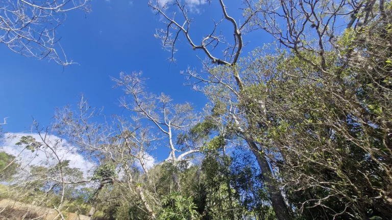 Imagem Terreno com Vista Privilegiada e Grande Potencial em Garopaba - Encantada / Serraria