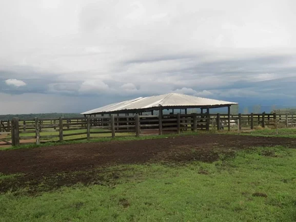 Imagem Fazenda a venda em Pontes e Lacerda - MT