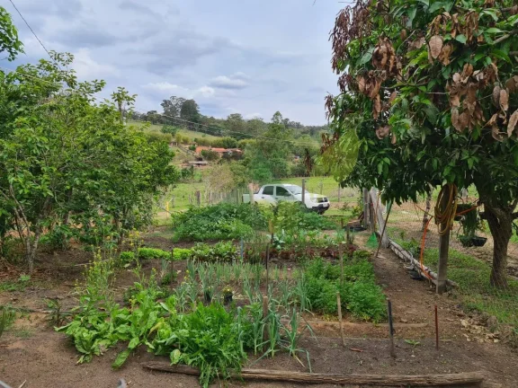 Imagem Oportunidade em Sítio à Venda em Piracaia com 30.000m²