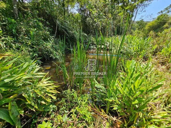 Imagem Sítio à venda, 300000 m² por R$ 1.300.000,00 - Ponte Nova - Teresópolis/RJ