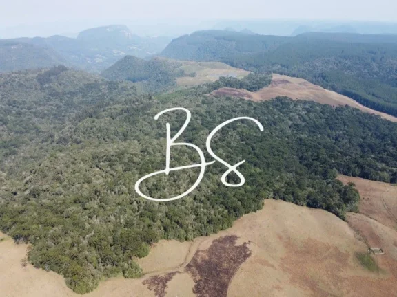 Imagem AREA RURAL em SÃO FRANCISCO DE PAULA - RS, São Francisco de Paula
