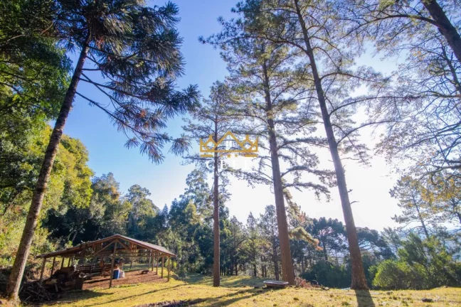 Imagem Chácara - Sítio com 3 Dormitorio(s) localizado(a) no bairro Zona Rural em Morro Reuter / RIO GRANDE DO SUL Ref.:1544