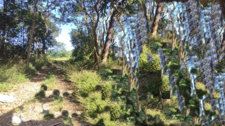 Imagem TERRENO A VENDA COM 25 MILM2 ZONA MISTA FERRAZ DE VASCONCELOS