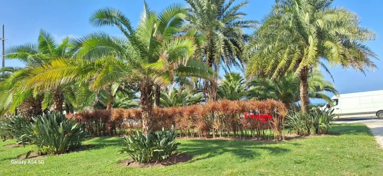 Imagem Apartamento 1 dormitório ao lado da praia no coração da Guilhermina