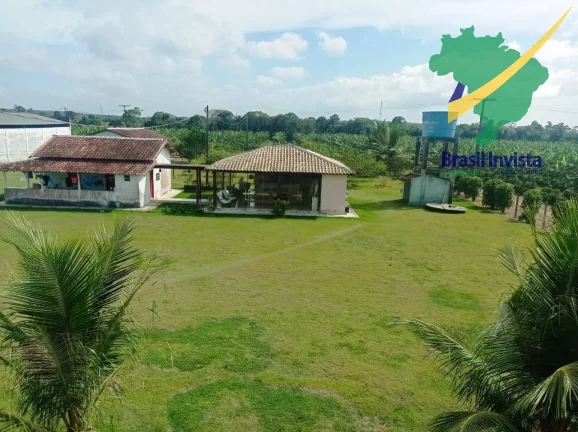 Imagem FAZENDA COM EXCELENTE PRODUÇÃO PRÓXIMA A PORTO SEGURO
