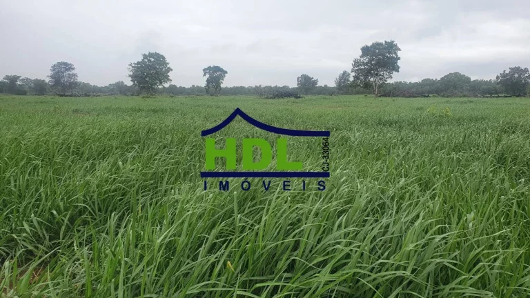 Imagem 110 Alqs Top em Cocalinho MT