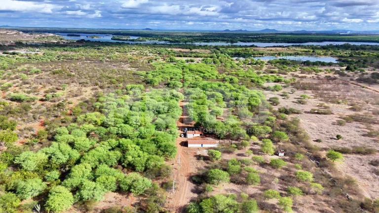Imagem Chácara à venda na Estrada das Pedrinhas com 18.1ha, PETROLINA - PE