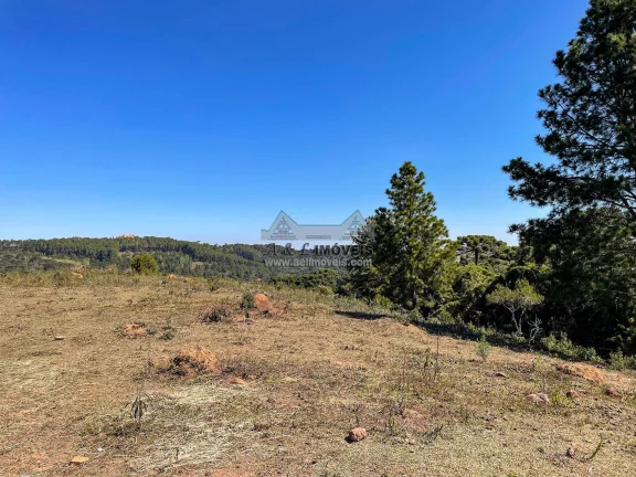 Imagem Terreno 5.268 m² no Alto da Boa Vista em Campos do Jordão com ZR3