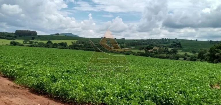 Imagem Fazenda - Itamogi - Itamogi