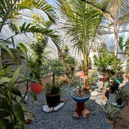 Imagem Casa De 3 Quartos Com Suite Sozinha No Lote Em Avenida No Marilia
