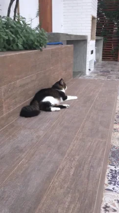 Imagem Ótima casa no Pacaembu