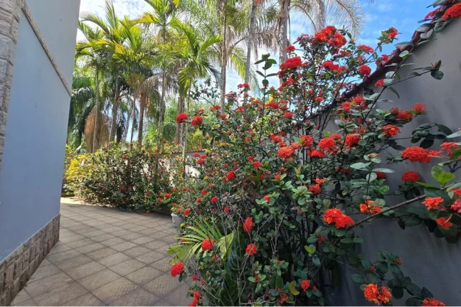 Imagem Casa com 4 quartos Para venda em Campo Grande