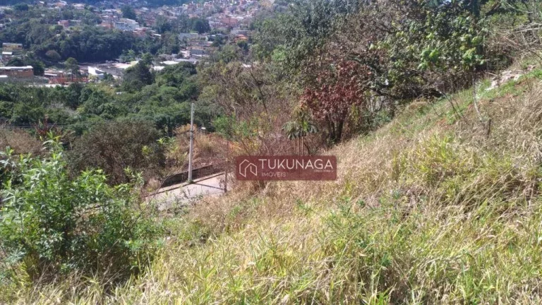 Imagem Terreno à venda, 4080 m² por R$ 1.010.638,48 - Recreio São Jorge - Guarulhos/SP