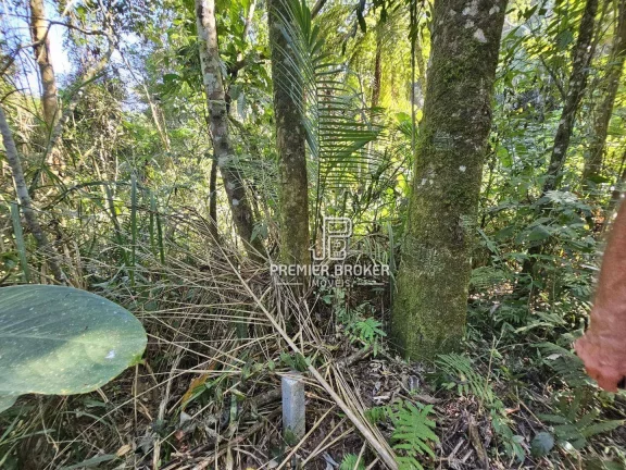 Imagem Área à venda, 120000 m² por R$ 1.000.000,00 - Ponte Nova - Teresópolis/RJ