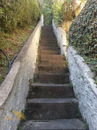 Imagem Alugo Chácara em Theodoro com 3 quartos e 1 suíte