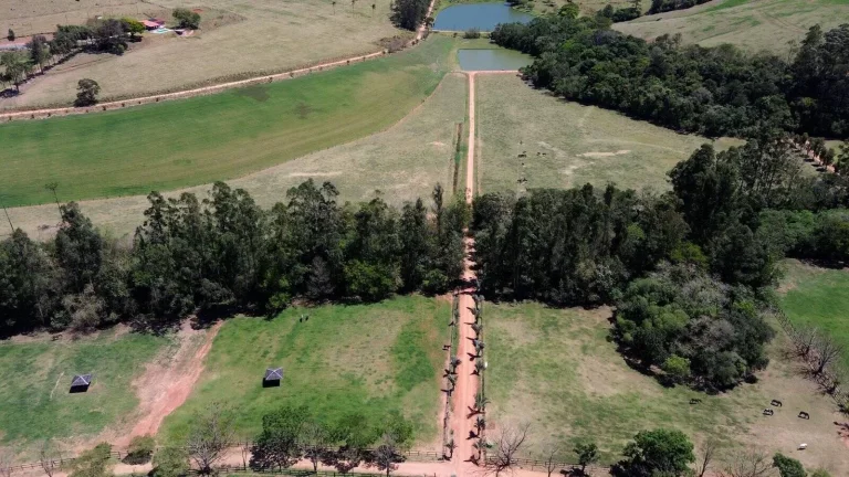 Imagem Haras de Luxo à Venda em Bragança Paulista