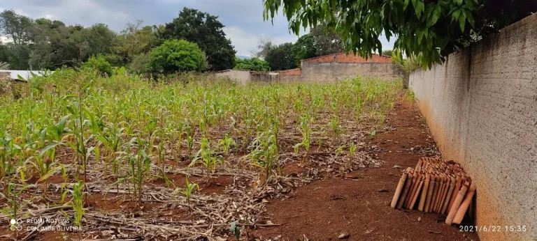 Imagem Terreno à Venda, 1.000 m² em Bosque Dos Eucaliptos - Araçoiaba Da Serra