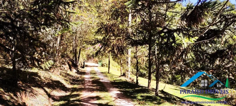 Imagem Chácara em Gonçalves: Tranquilidade e contato com a natureza!