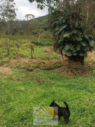 Imagem Vendo Terreno em Área Rural com 900 mts²