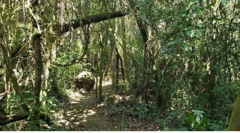 Imagem Terreno à venda, 1000 m² por R$ 650.000,00 - Condomínio Fazenda Jequitibá - Sorocaba/SP